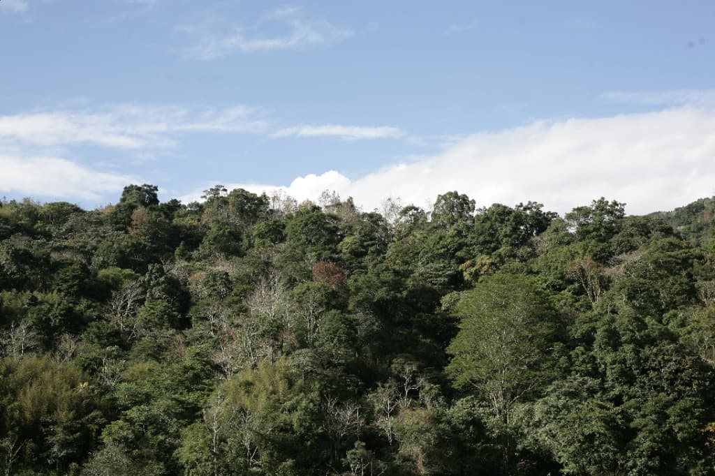 Paisaje del norte argentino